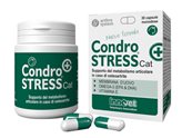 CONDROSTRESS + CAT 30CPS