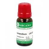 Lycopodium Clavatum 12lm Arcana 10ml