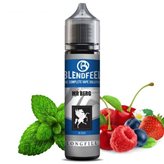 Fine Stock - Mr Berg Blendfeel Liquido shot 20ml Frutti Rossi Mentolo