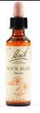 BACH Rock Rose 20ml