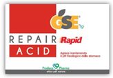 GSE REPAIR RAPID ACID 36CPR