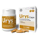 Urys Caps 30cps