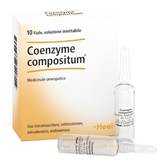 COENZYME COMP.10f.2,2ml HEEL