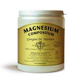 MAGNESIUM Comp.Polv.500g*SVS