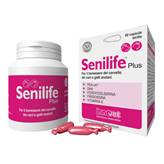 SENILIFE Plus 60 Cps