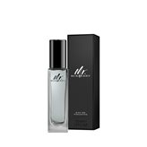 Mr. Burberry Eau de Toilette - 50ml