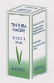 Avena Sativa Tintura Madre Gocce HERING 125ml