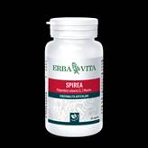 Spirea Ulmaria Erba Vita 60 Capsule