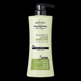 Shampoo Liscio Assoluto 400ml