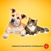 RECICORT 1,77 MG/ML + 17,7 MG/ML (20 ml) - Gocce auricolari per il trattamento della dermatite seborroica in cani e gatti