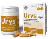 URYS CAPS 30CPS