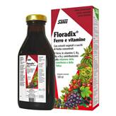 Floradix Ferro 500ml