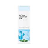 Betulla Verrucosa Semi Gemmoderivato Erba Vita 50ml