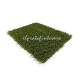 Campionatura Bermuda Grass 35 mm