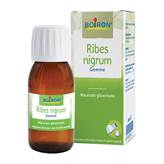 Ribes Nigrum Mg Gemme 60ml - Boiron Srl