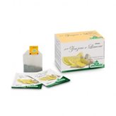 Specchiasol Infuso Zenzero E Limone 20 Filtri