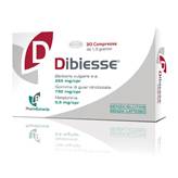 DIBIESSE 30CPR