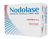 NODOLASE 14 Bust.