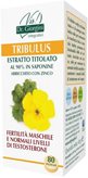 TRIBULUS Estr.Tit.80 Past.SVS