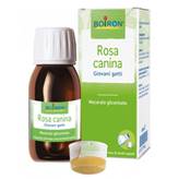 Rosa Canina Macerato Glicerico Boiron 60ml