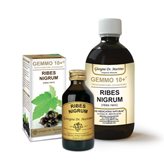 G10+ Ribes Nero Liquido Analcolico Dr. Giorgini 200ml