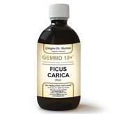 Dr.Giorgini Gemmo 10+ Fico Liquido Analcolico 200ml