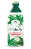 L ANGELICA SH A/FORFORA 250 ML