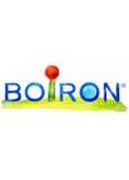 BOIRON SRL DATIF PC 90 COMPRESSE DA 300 MG