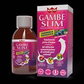 Gambe Slim Formula Trifasica Winter 300ml