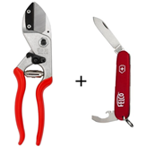 FELCO 31 - Forbice da potatura professionale F31 + Coltellino omaggio