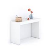 Consolle Ingresso Evolution 120x40, Bianco Frassino