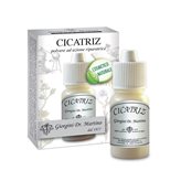 Dr. Giorgini Cicatriz Polvere Cicatrizzante 10g