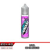 Grape Ice FANTASI Aroma Shot 20 ml Vape Juice