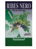 RIBES NERO 75 Cps      SPECCH.