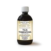 G10+ Tilia Tomentosa Dr. Giorgini 500ml