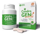 CONDROGEN Energy 90*Compresse