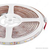 V-Tac VT-3528-60 Striscia LED Flessibile 21W SMD Monocolore 60 LED/metro 12V IP65 - Bobina da 5 metri - SKU 212032 / 212043 - Colore : Bianco Naturale