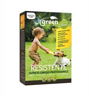 Seme tappeto erboso prato Resistente - Astuccio da 1 Kg