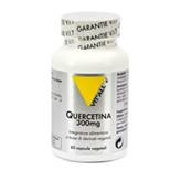 Santiveri Quercetina 60 Capsule