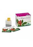 SPECCHIASOL SRL INFUSO BIO FRUTTA FRUTTI DI BOSCO 20 FILTRI