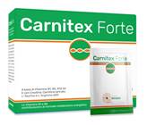 CARNITEX FORTE 20BUST