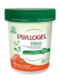 NATHURA GIULIANI(GIULIANI SPA) PSYLLOGEL FIBRA ARANCE ROSSE VASO 170 G