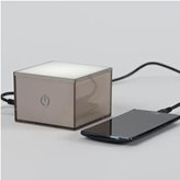 Vesta Ricarica cellulare USBOX con Porta USB 10x10xh6,5 cm colore Champagne