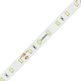 Striscia Strip Led Ledco 60W 24V 3000K IP20 5 metri SL60LBC20