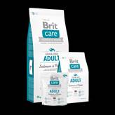 Brit Care Grain Free Cane Adulto Salmone (Formato: 12 Kg)