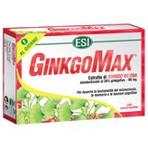 Trepatdiet Ginkgomax 30 Tab