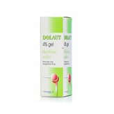 DOLAUT%GEL SPRAY FL 25G/4%