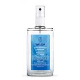 Deodorante Alla Salvia Weleda 100ml