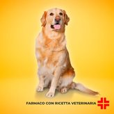 PRINOCATE CANI MOLTO GRANDI 400 MG/100 MG (6 pipette) - Antiparassitario per cani oltre 25 Kg