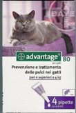 advantage 80 gatti conigli